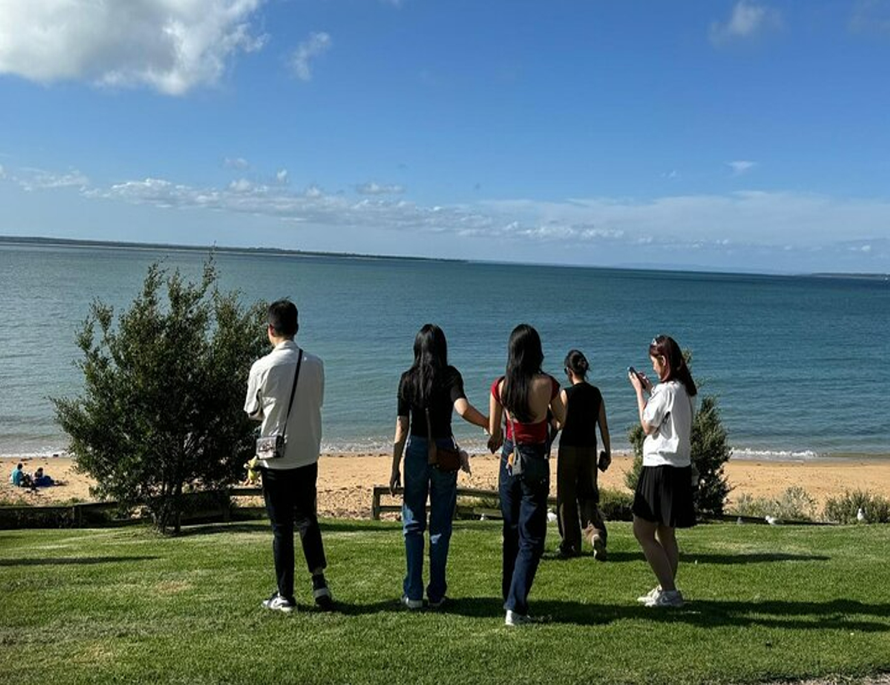 墨爾本帕芬比利蒸汽火車和菲利普島私人旅遊