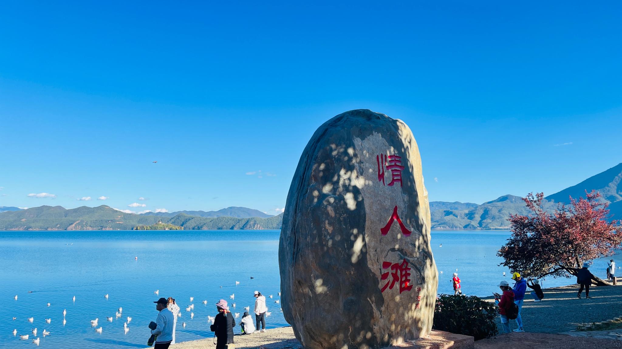 雲南瀘沽湖1日遊商務車小團（麗江往返+山路十八灣+瀘沽湖觀景臺+情人灘+裡格半島觀景臺+豬槽船遊湖+草海+走婚橋）