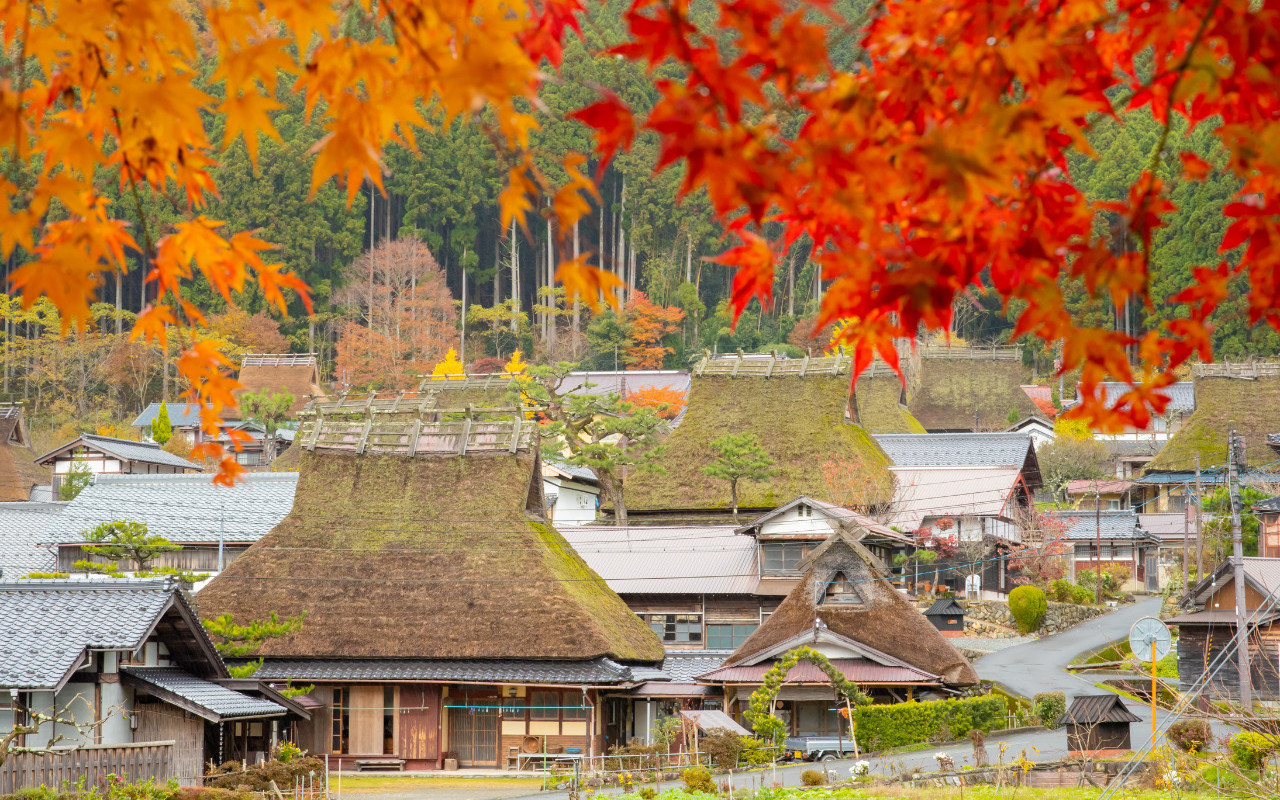 [Group of 1 Possible] One-Day Tour to Japan Sea's Kyoto Amanohashidate, Ine Boathouse, and Miyama Thatched Village | Superb View Amanohashidate, 100-Year Boathouse Scenery, Miyama Town Thatched Roof Panorama | Limited to Round Trip from Osaka