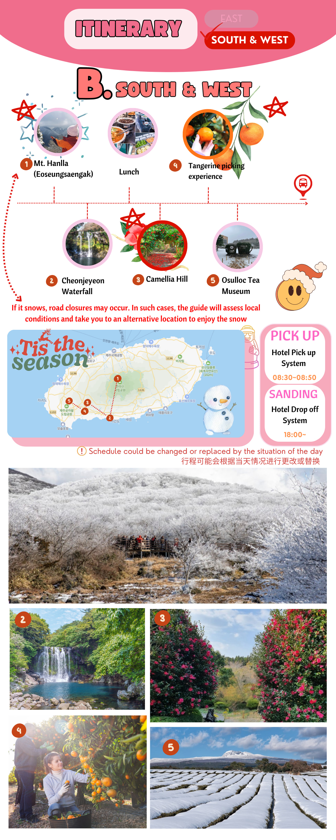 濟州山茶花、橘子與白雪冬季季節之旅 (Jeju Camellia & Tangerine & Snow Winter Seasonal Tour)