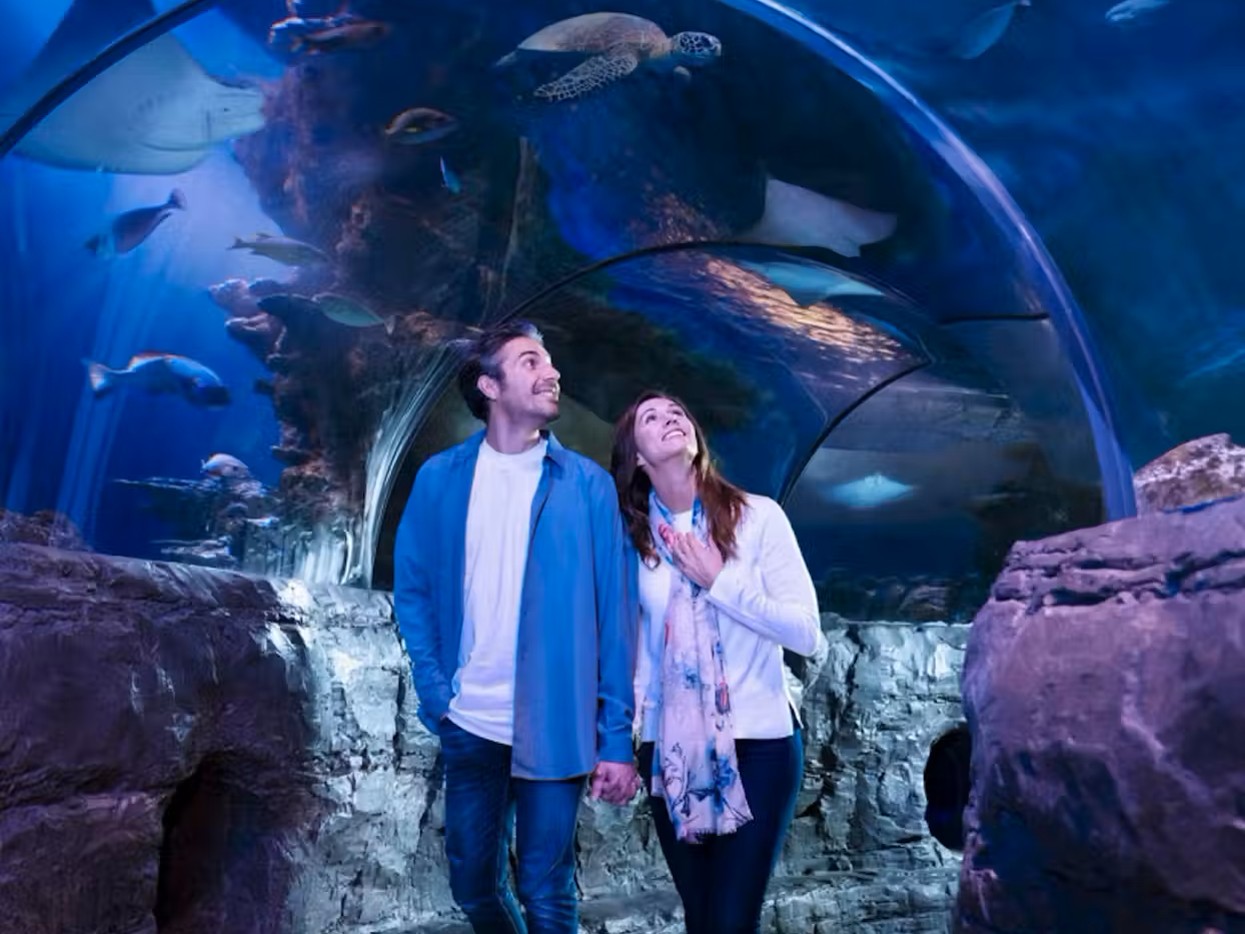 SEA LIFE Charlotte-Concord Ticket