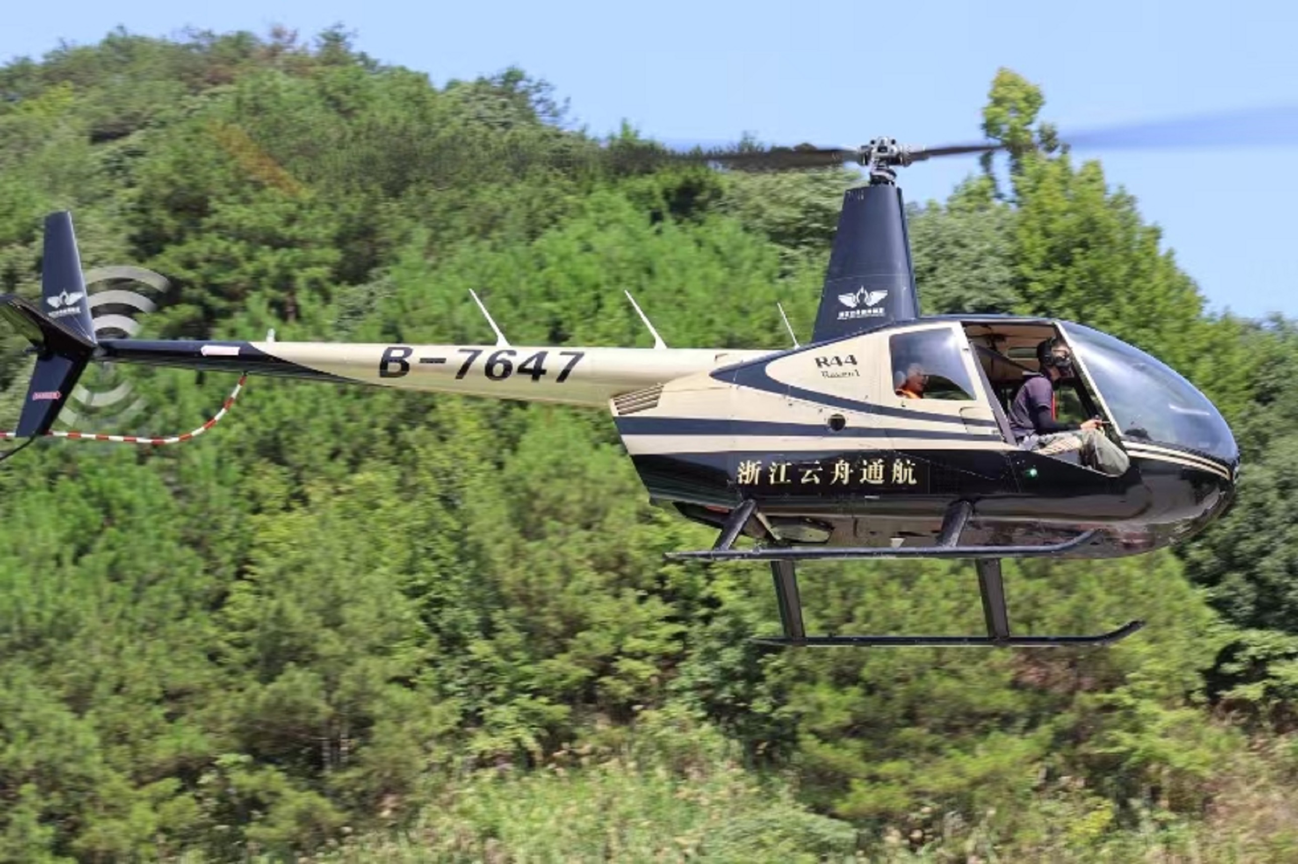 直升機低空掠過蔥鬱山林，林海如毯鋪展，機身與青山相映，動靜之間盡顯千島湖山野間的靈動與壯闊，畫面清新治癒，充滿自然野趣