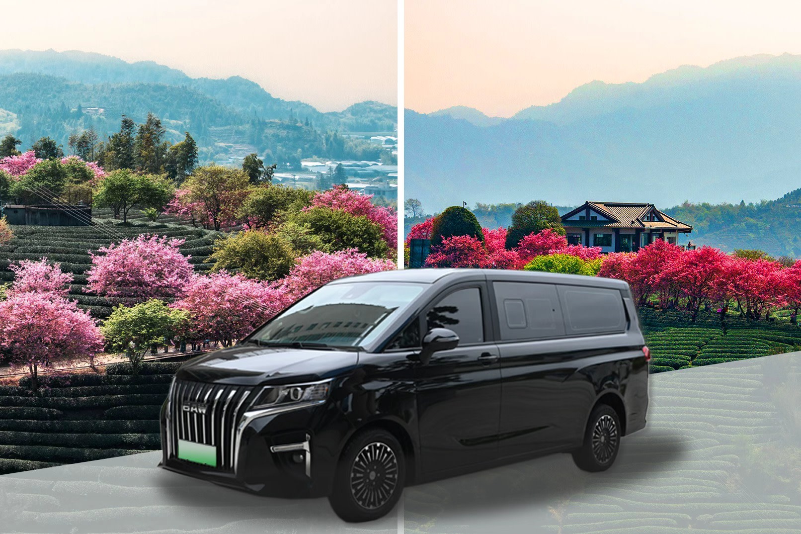 Xiamen Round Trip Yongfu Cherry Blossom & Zhuangyuan Mountain Scenic Area Chartered Day Tour