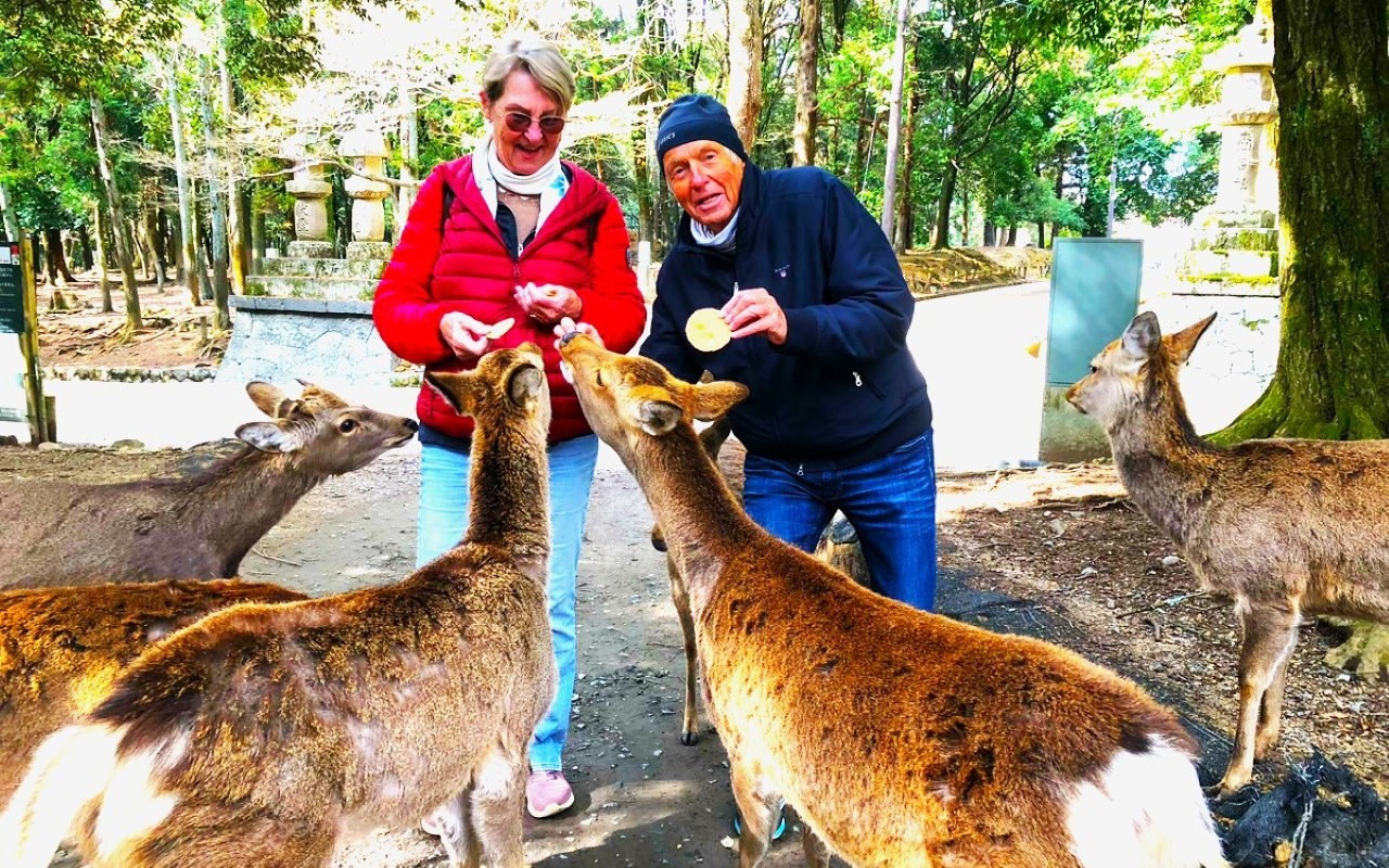 Nara: 3-Hour Guided Tour with Deer, Great Buddha & Shrines