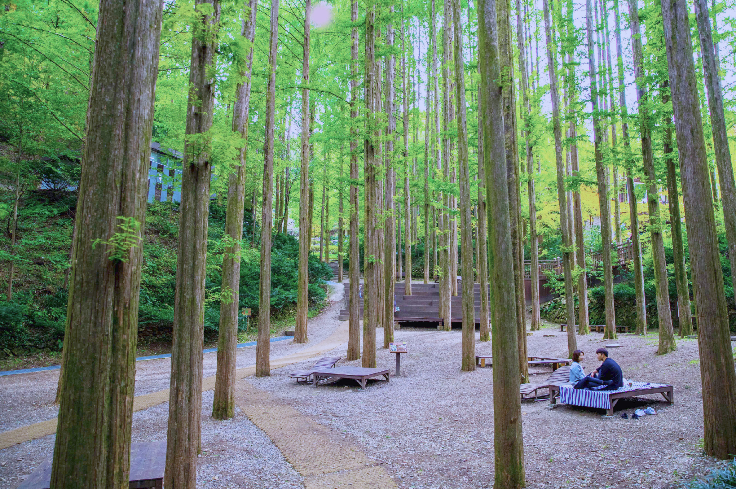 全州韓屋村＆季節性熱門景點一日遊