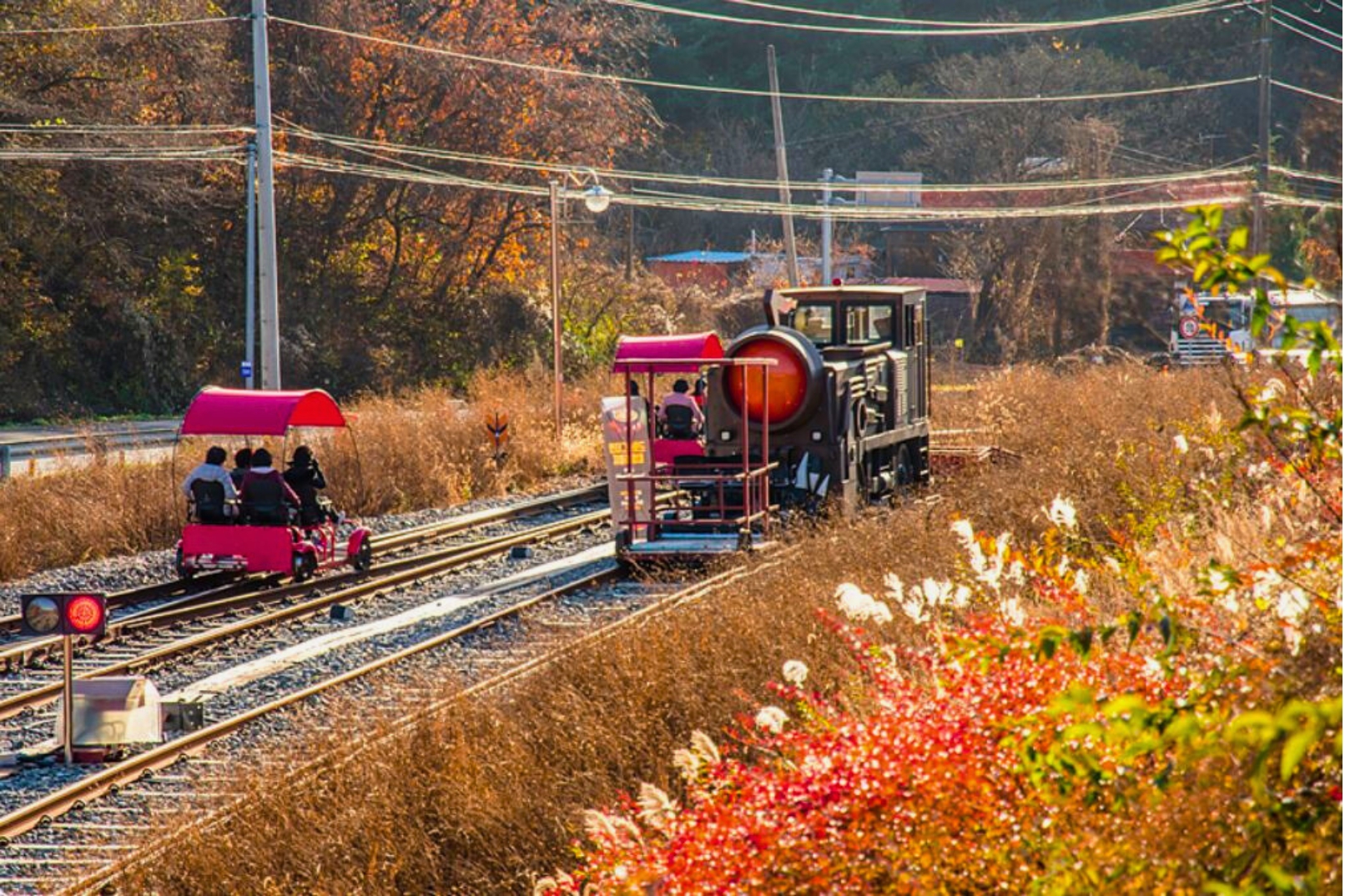 羊駝牧場 / 南怡島 / 江村鐵路自行車 / 晨靜樹木園 / 樂高樂園 /  塗鴉秀 / 猛男秀一日遊