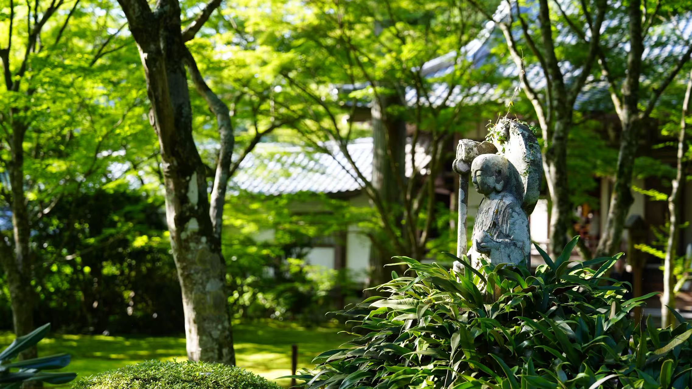 Kyoto: Arashiyama Bamboo Grove, Kinkaku-ji Temple, and Kifune Shrine Day Tour