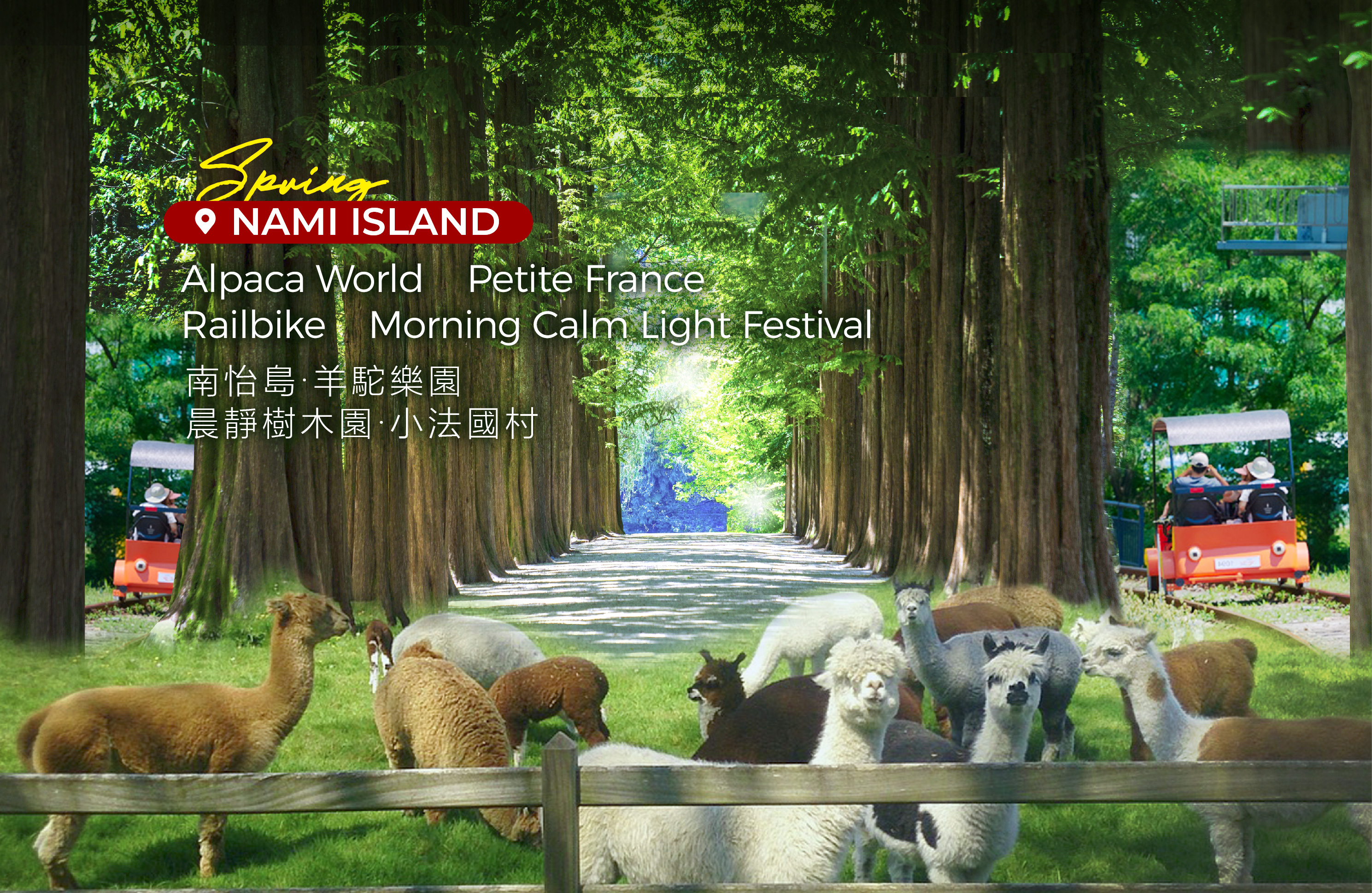 Nami Island &amp; Happy Panorama Field &amp; Morning Calm &amp; Railbike