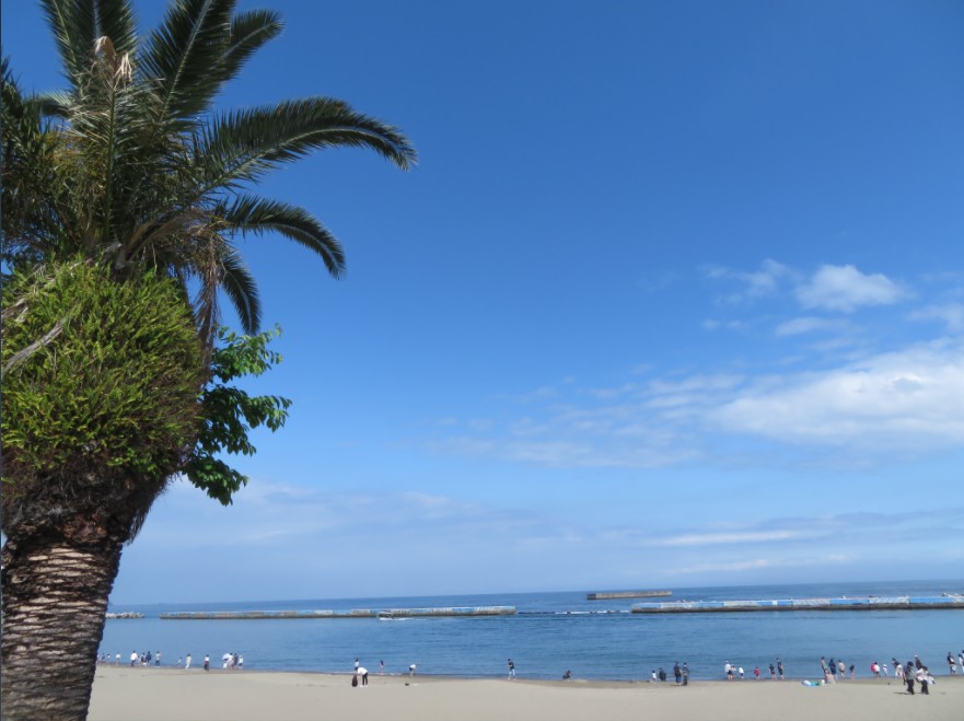 【花火限定】熱海花火大會・陽光沙灘・箱根龍宮殿溫泉or箱根神社水上鳥居一日遊｜東京出發