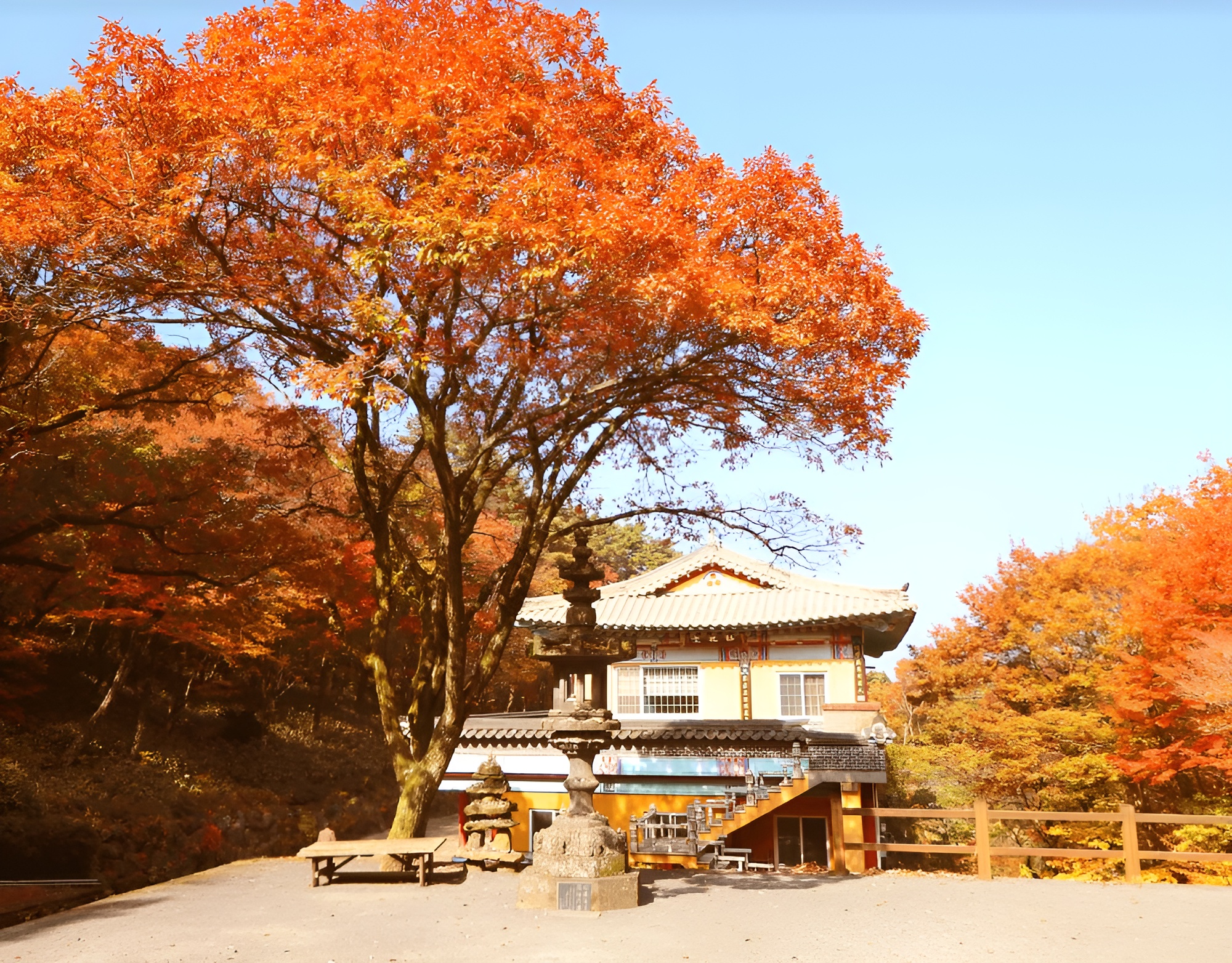 秋季限定特色之旅（楓葉、蘆葦、粉黛亂子草）