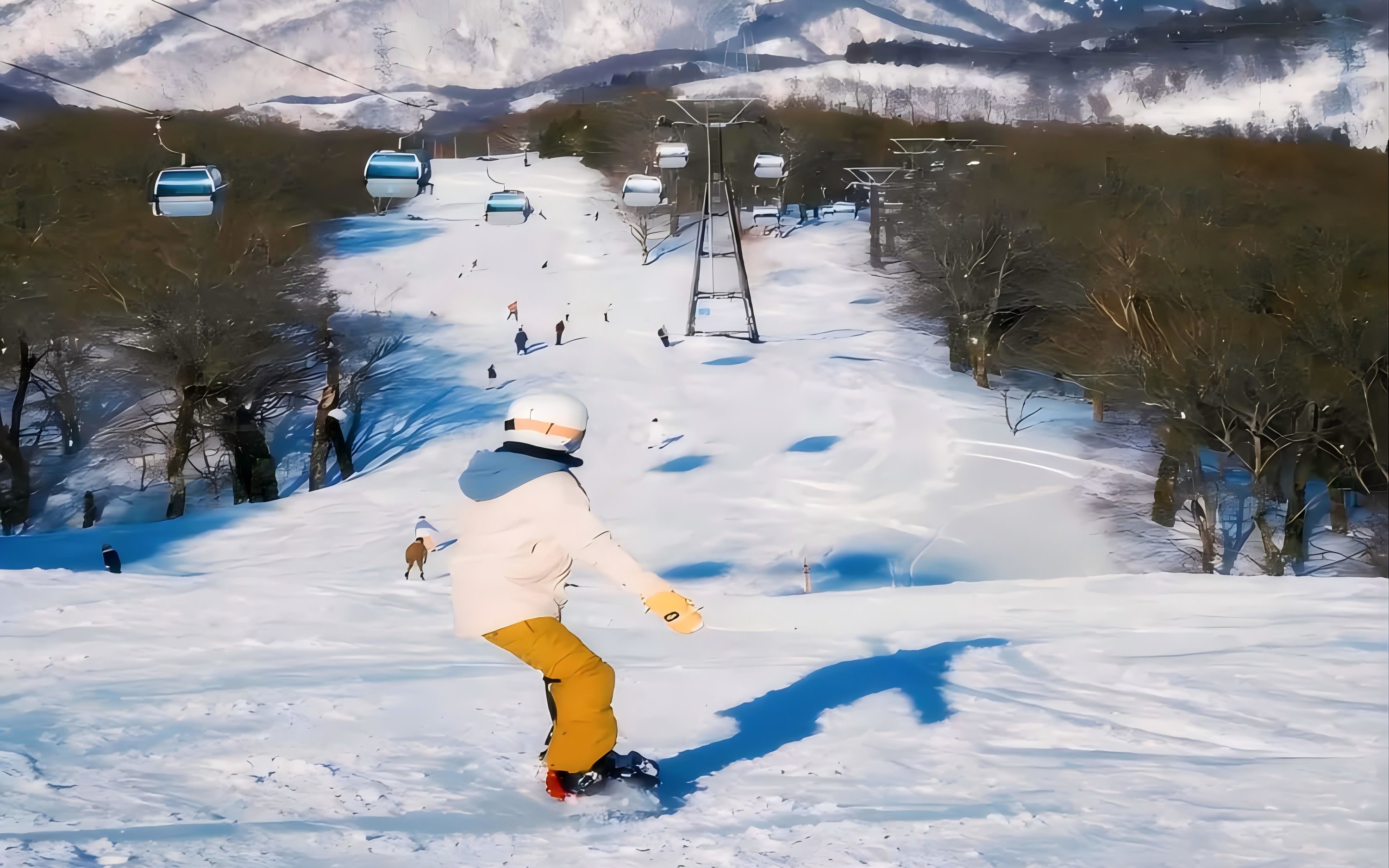 Yuzawa Iwahara Ski Resort Snow Play & Skiing Day Trip
