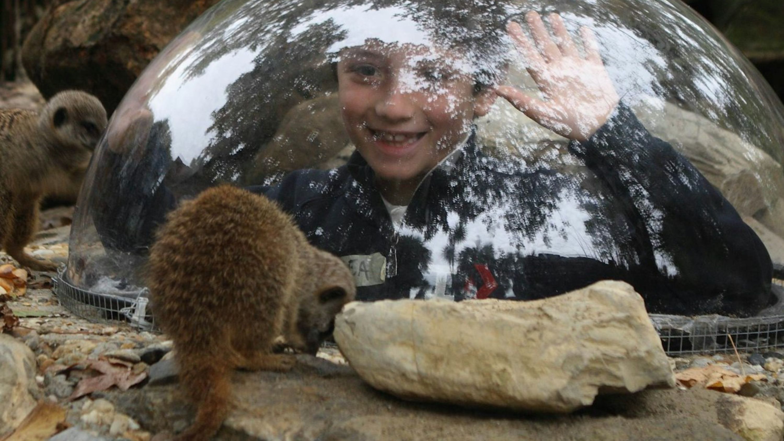 Zoo of Pistoia in Italy