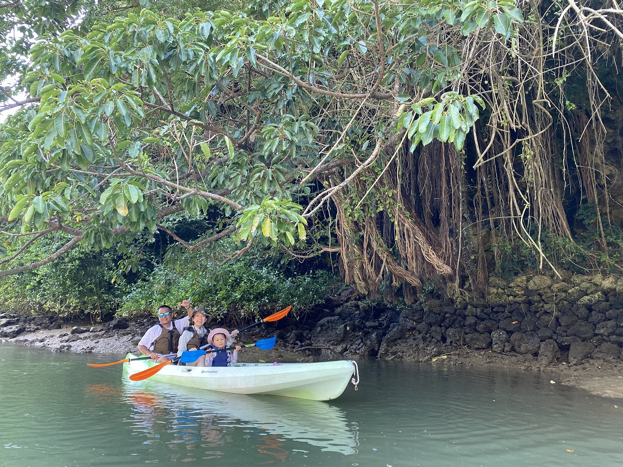在平靜的比謝川體驗紅樹林獨木舟,是家庭活動的完美選擇。 在平靜的比謝川體驗紅樹林獨木舟,是家庭活動的完美選擇。