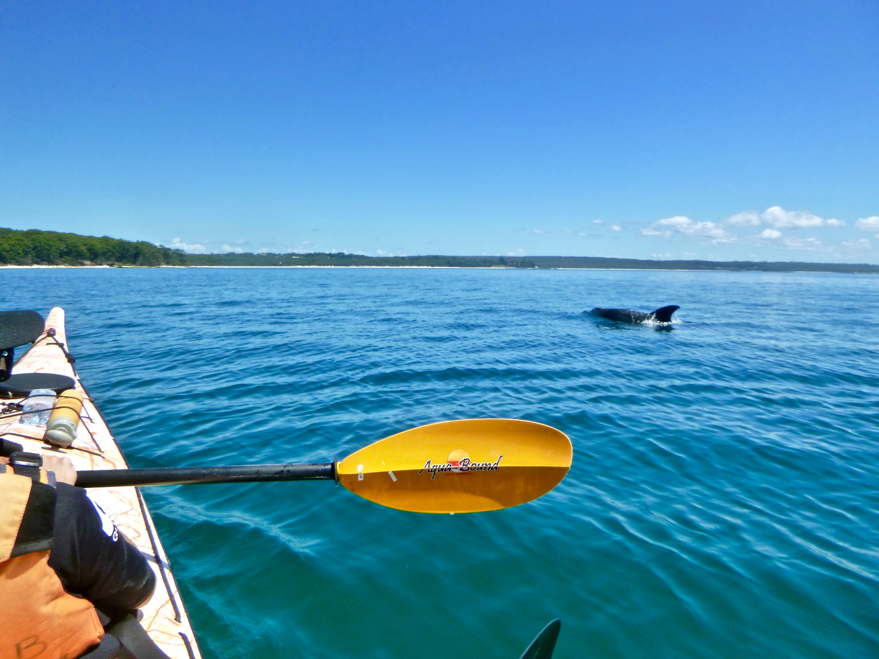 Jervis Bay Half Day Sea Kayak Tour