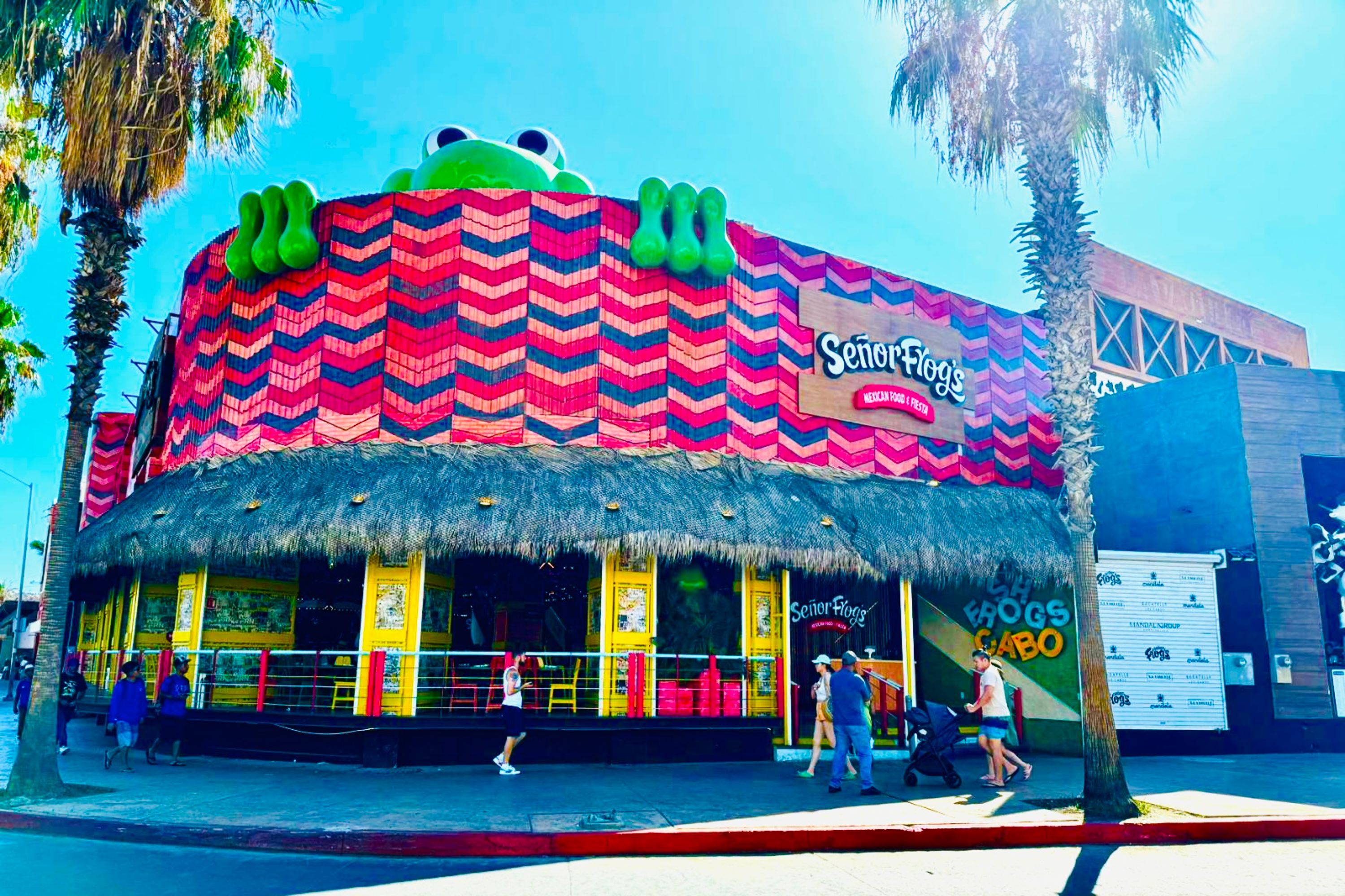 Sr. Frog's Restaurant Mexican Food & Fiesta