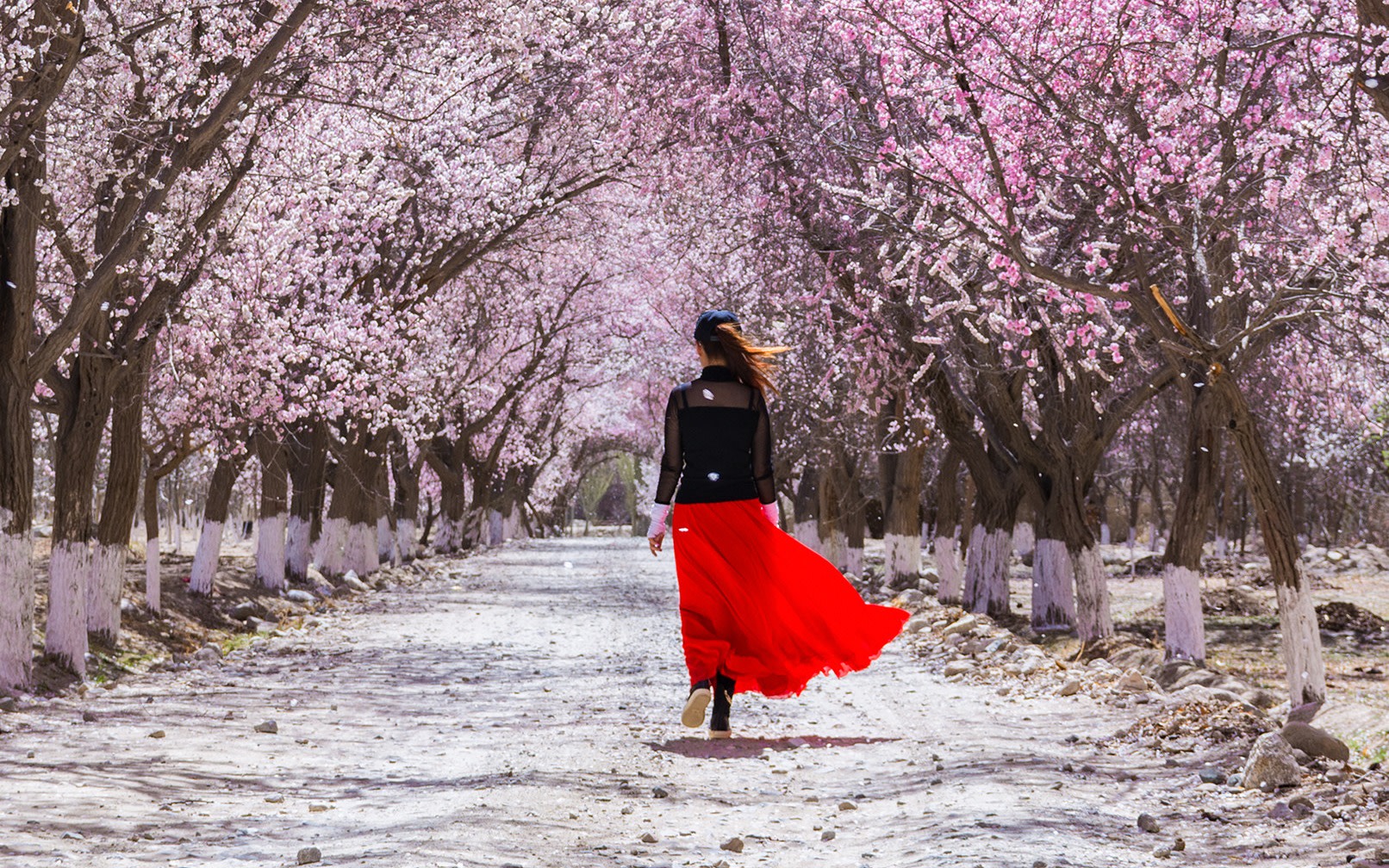 Pamir in Bloom | 5 Days 4 Nights from Kashgar