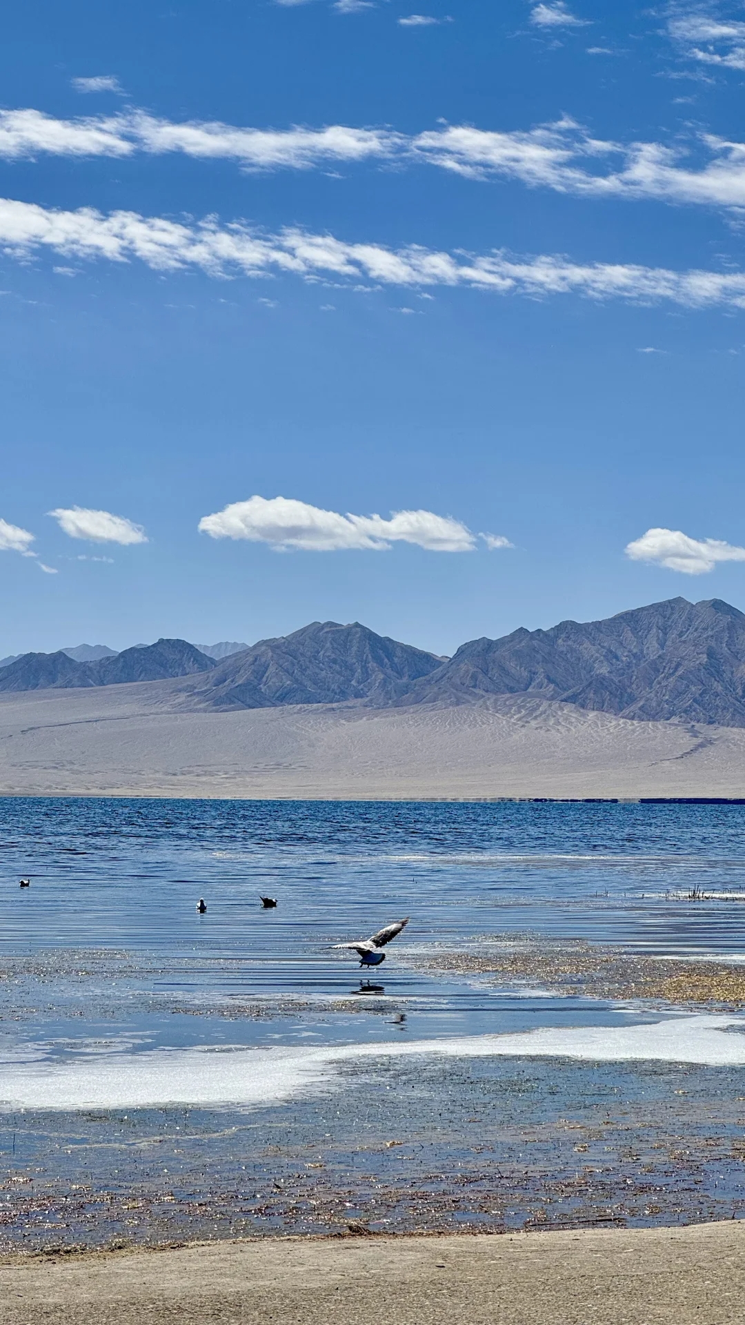 第四日上午八點從敦煌出發,十點左右我們翻越當金山,抵達蘇幹湖,這是一個被遺忘的高原戈壁湖泊,深邃的湖水格外顯眼。湖無法進入,但是筆直通往湖畔的公路景色極其優美動人,我們在這裡拍照,留下紀念。 第四日上午八點從敦煌出發,十點左右我們翻越當金山,抵達蘇幹湖,這是一個被遺忘的高原戈壁湖泊,深邃的湖水格外顯眼。湖無法進入,但是筆直通往湖畔的公路景色極其優美動人,我們在這裡拍照,留下紀念。