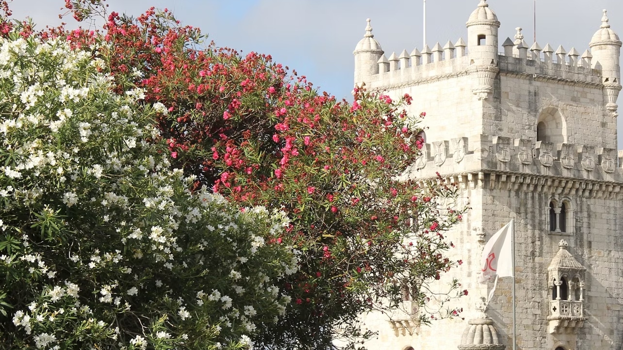 里斯本貝倫塔門票 (Belem Tower ticket in Lisbon)