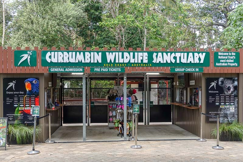 Currumbin Wildlife and Point Danger Tour with Chinese Speaking Guide