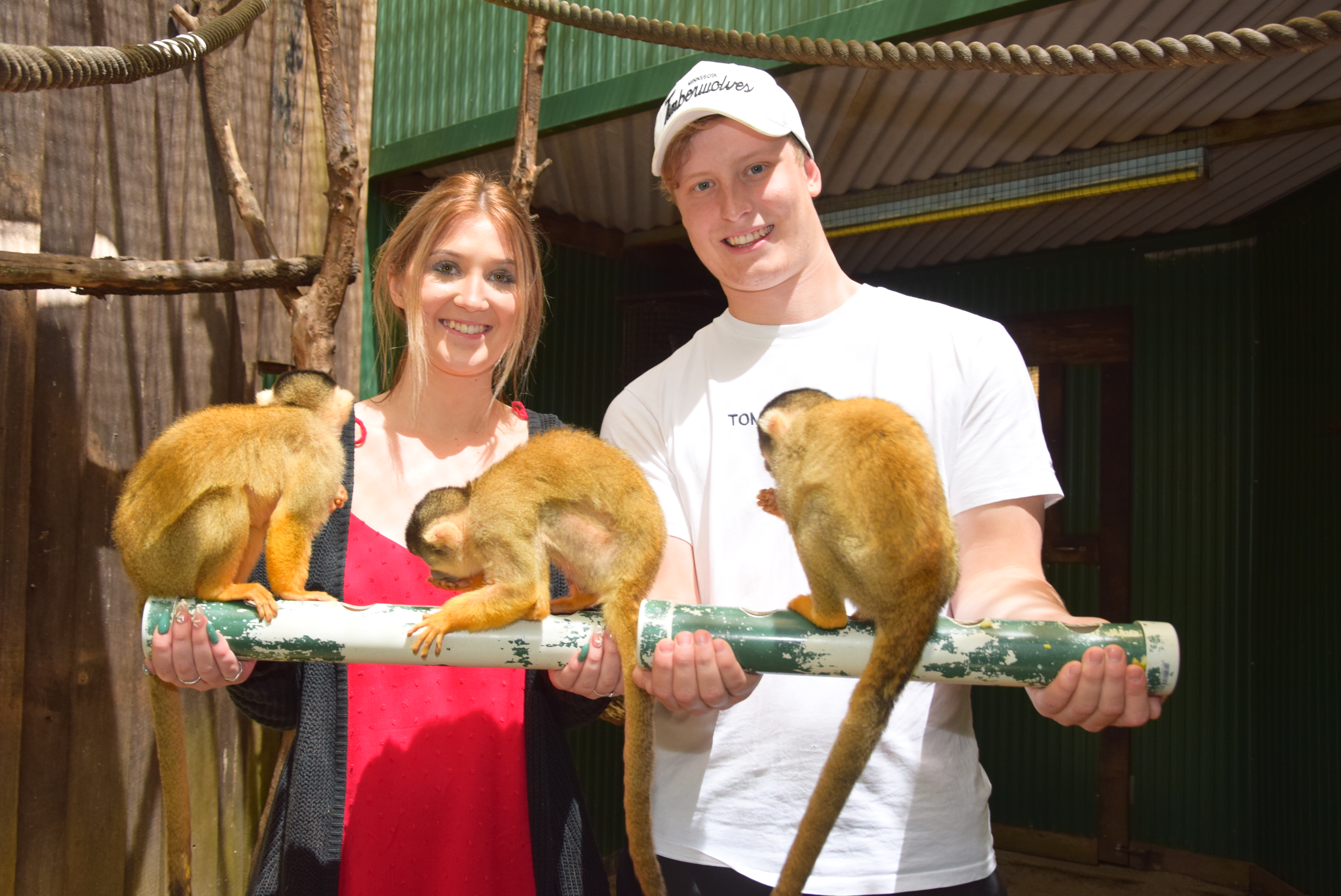 在精彩的松鼠猴奇遇中盡情搖擺，開啟一段您難以忘懷的狂野體驗！這些精力充沛、愛玩耍的靈長類動物個性十足，現在您有機會在最吸引人的動物體驗中與它們近距離接觸。