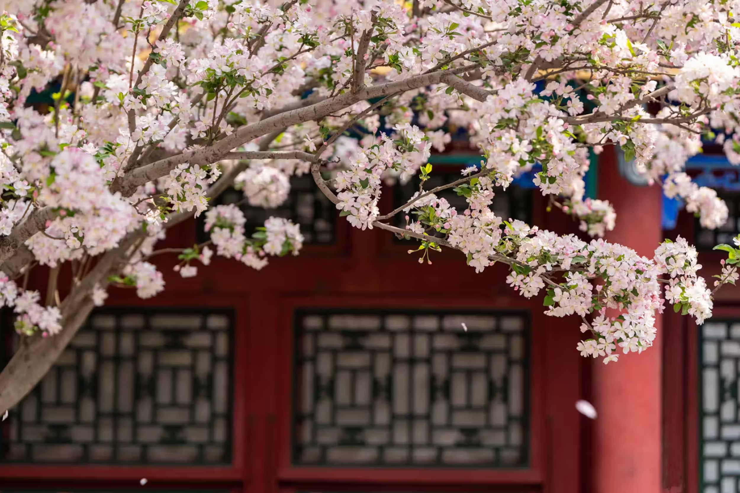 北京恭王府&雍和宮1日遊