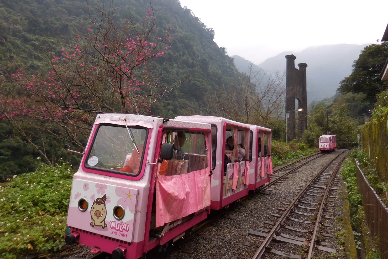 烏來台車乘車券