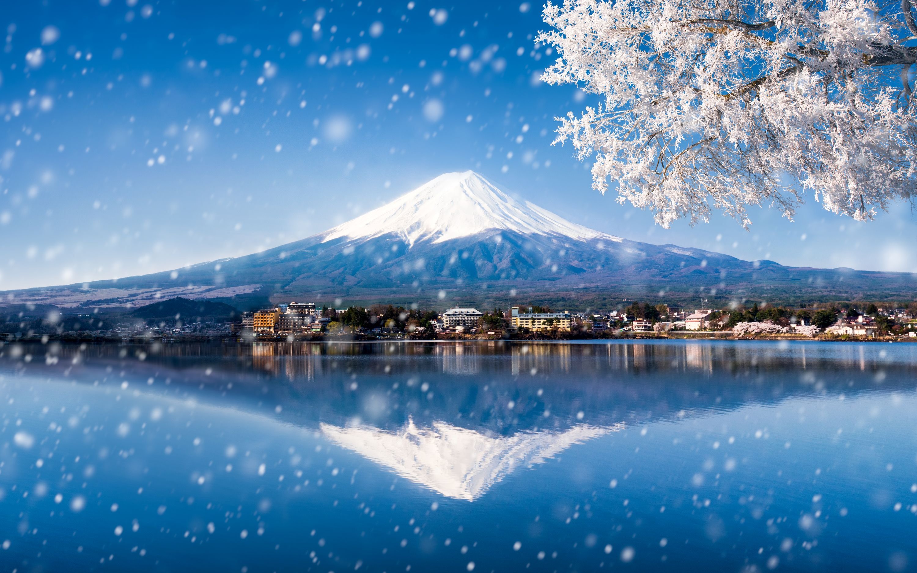 Mt. Fuji Tour: Arakurayama/Lake Yamanaka/Oshino Hakkai from Tokyo