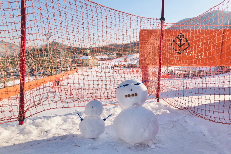 If an accident occurs on the slopes during a ski trip, the person in charge will try to help. Please note that the Company is not responsible for compensation or compensation for injury or death to you or others.