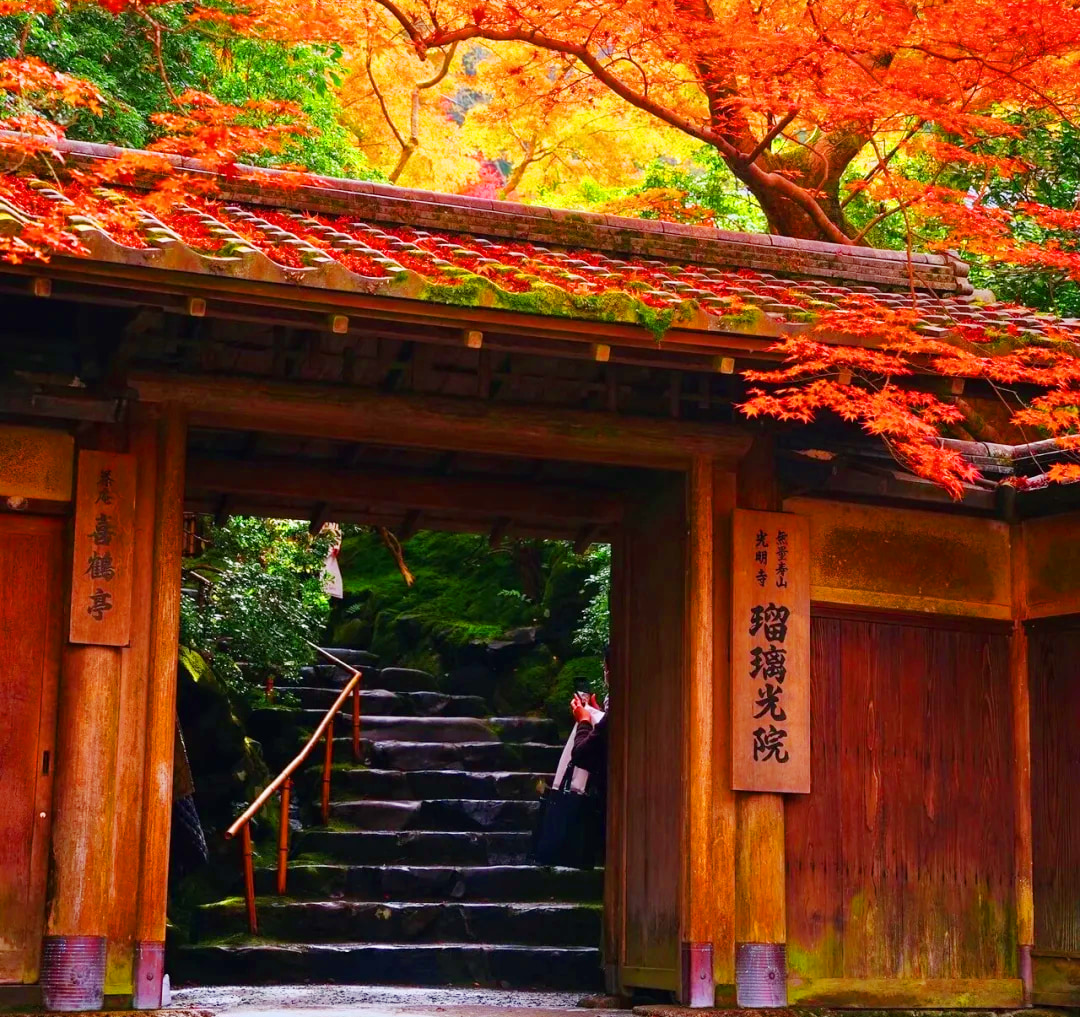 Kyoto Summer Cooling Tour ▏Rurikoin Temple/Nanzenji Temple & Sanzenin Temple & Kifune Shrine Hiking Day Tour (Depart from Osaka/Kyoto)