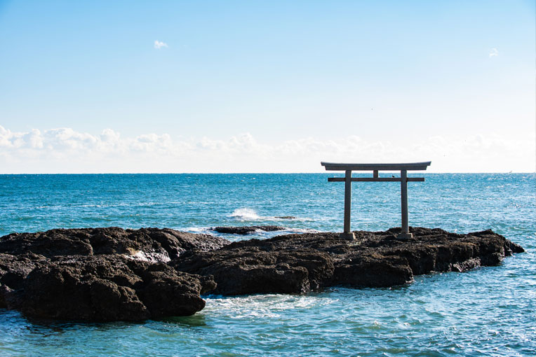 茨城國營常陸海濱公園 ＆大洗神磯鳥居一日遊