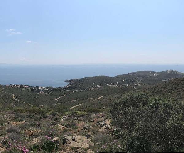 Private Tour to Athens Riviera and Cape Sounion