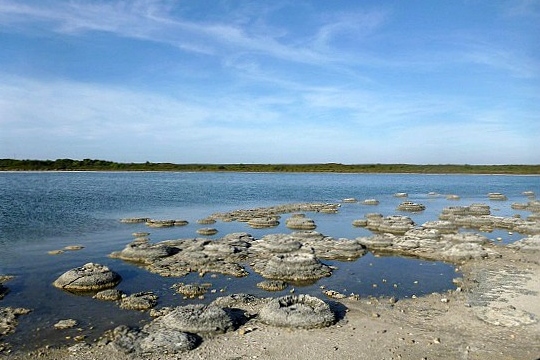 見證塞萬提斯提提斯湖的古老寧靜,它是大自然中時間流逝的活生生的見證 見證塞萬提斯提提斯湖的古老寧靜,它是大自然中時間流逝的活生生的見證