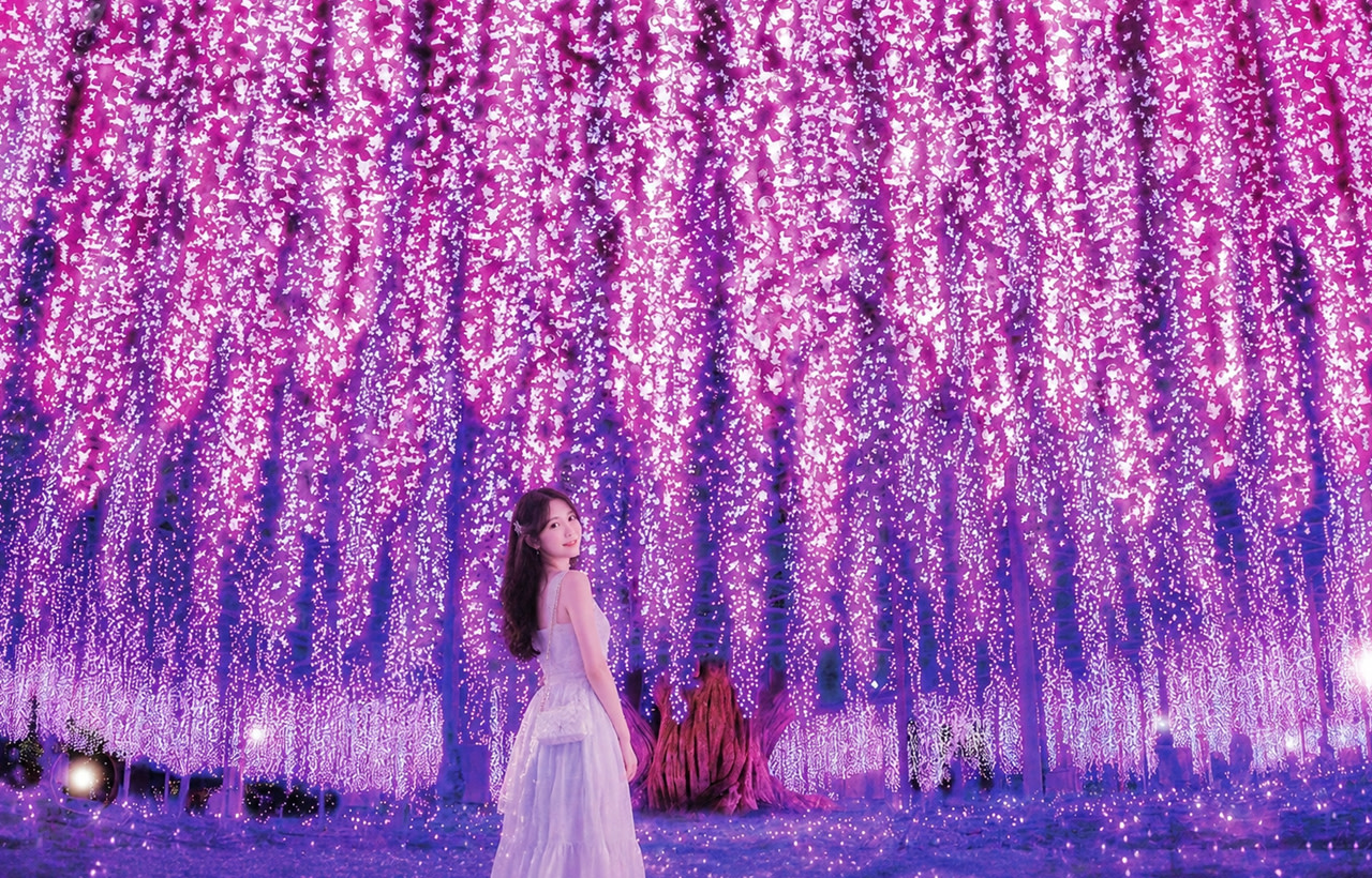 Japan's Top 3 Illumination Experiences: Oarai Sea Torii Gate + Fortune Turtle Prayer + Nakaminato Seafood Market + Ashikaga Flower Park Illumination One-Day Tour