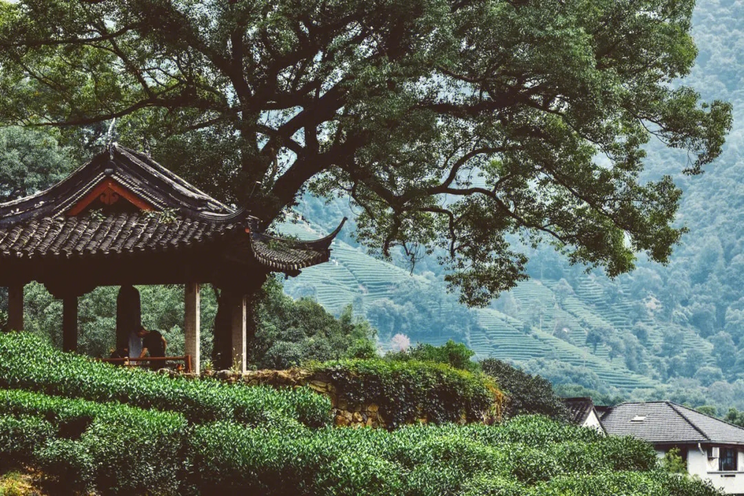 【私享定製團】上海市區+杭州+蘇州3日遊（ 上海集合/散團+東方明珠+陸家嘴+豫園+西湖+梅家塢+拙政園）