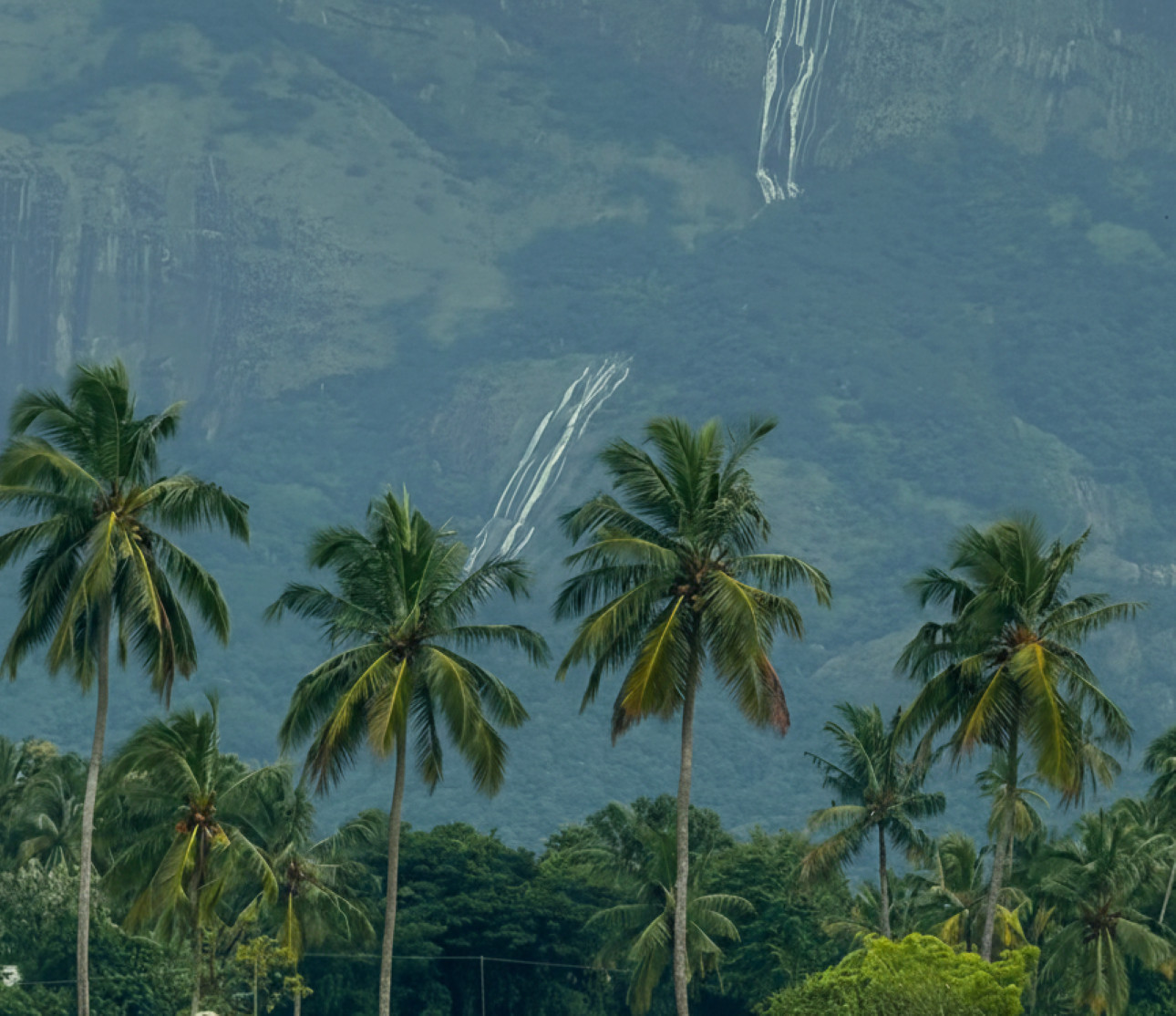 Kochi: Private Kerala Scenic Beauty Day Tour with Lunch