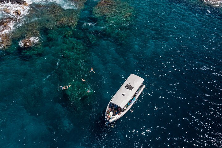 科納浮潛 & 海豚觀賞之旅