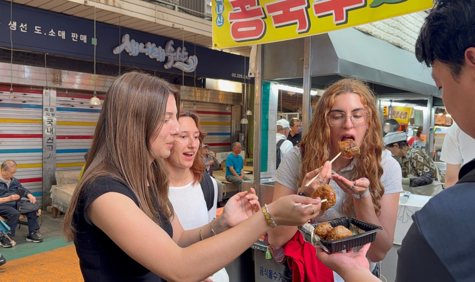 Seoul Mangwon Market & Han River Local Food Tour