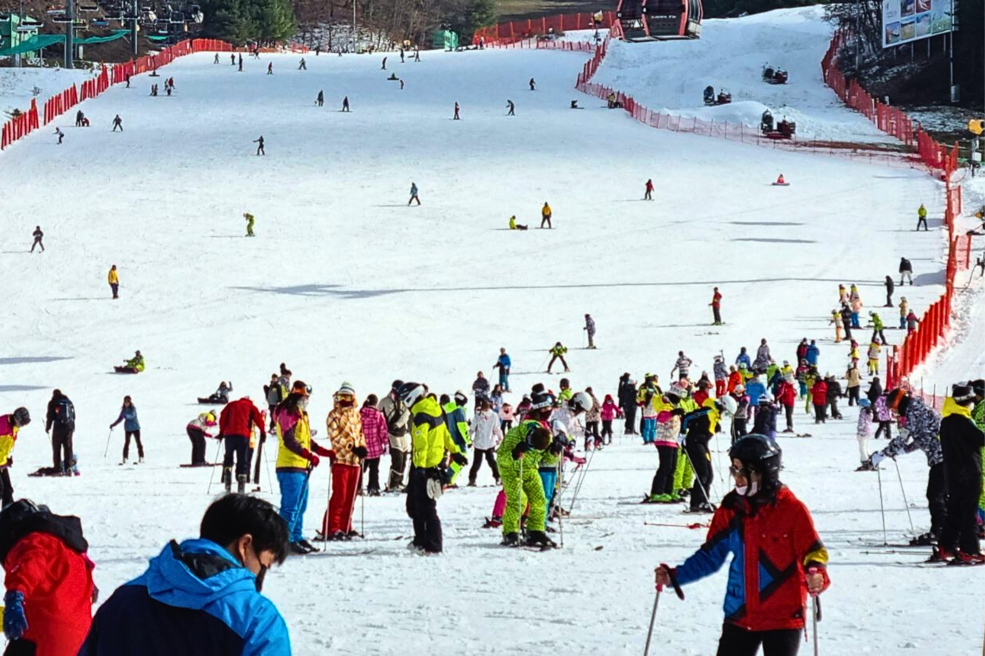 [Early Bird] Vivaldi Park Ski/Snowboard Trip from Seoul
