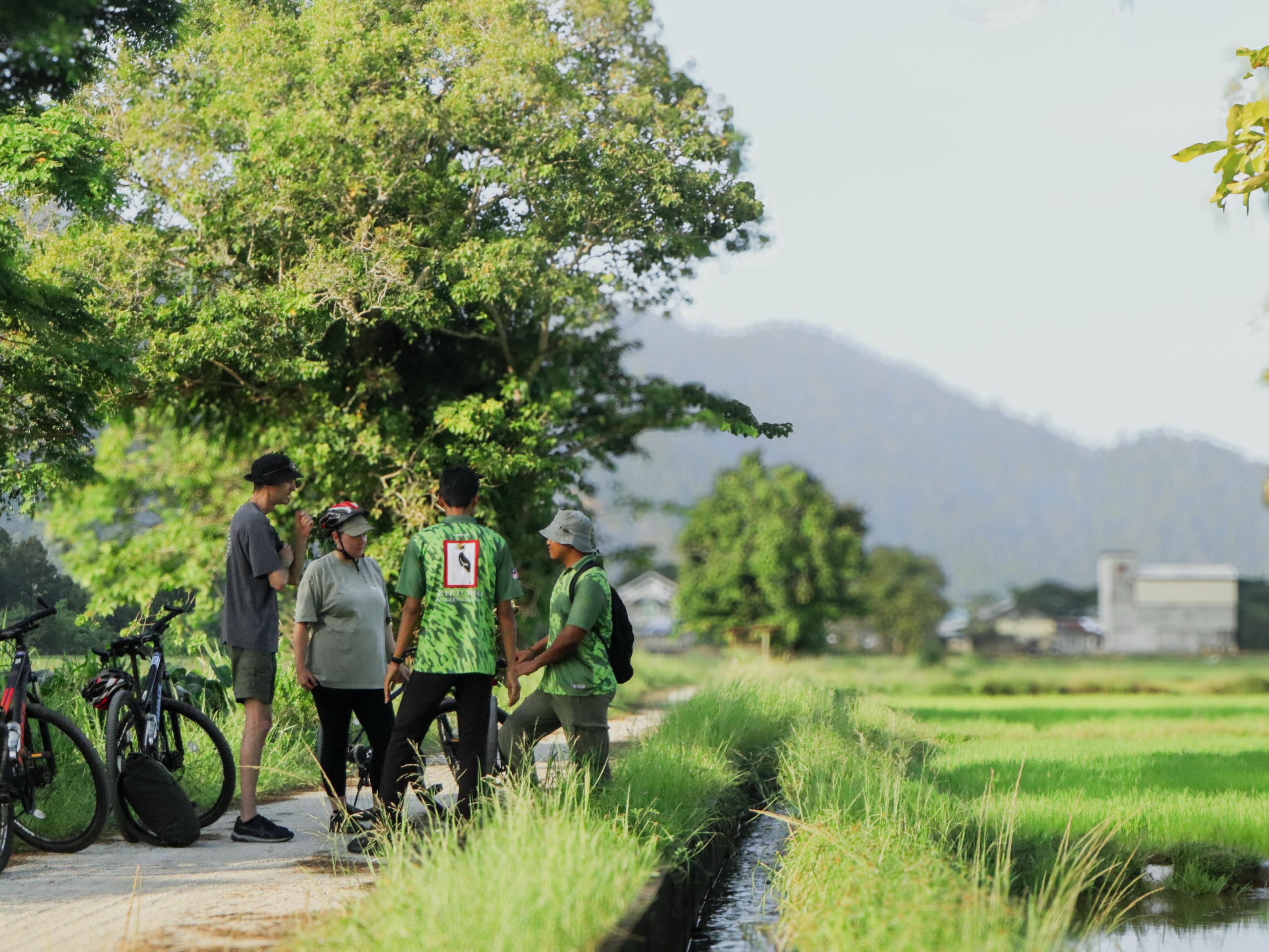 觀賞和體驗蘭卡威的本地和候鳥。 觀賞和體驗蘭卡威的本地和候鳥。