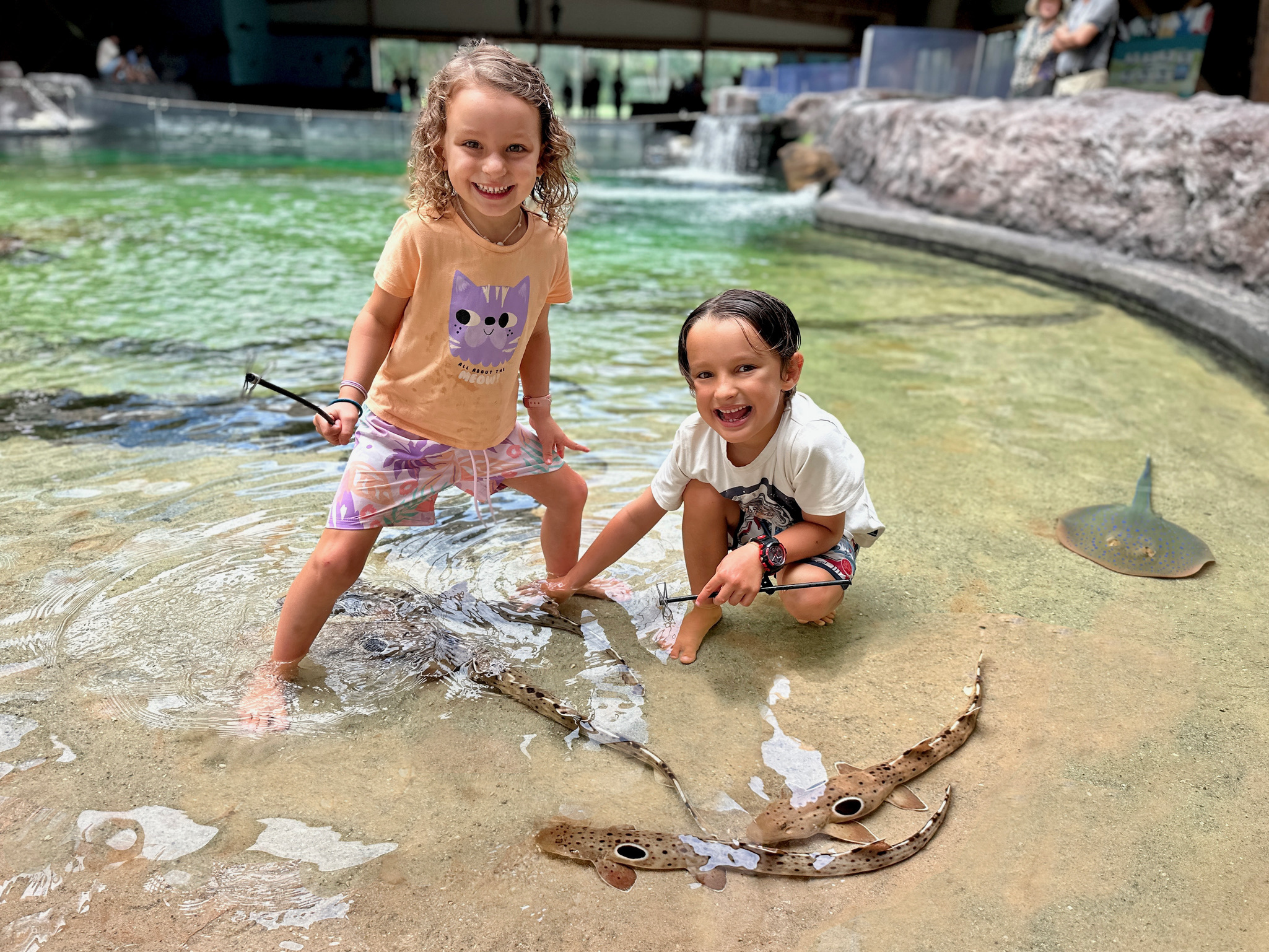 Irukandji Shark & Ray Encounters 水族館門票