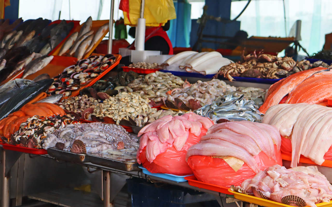 在喬里爾洛斯 (Chorrillos) 觀看當地漁民捕撈當日漁獲，體驗秘魯的傳統文化。