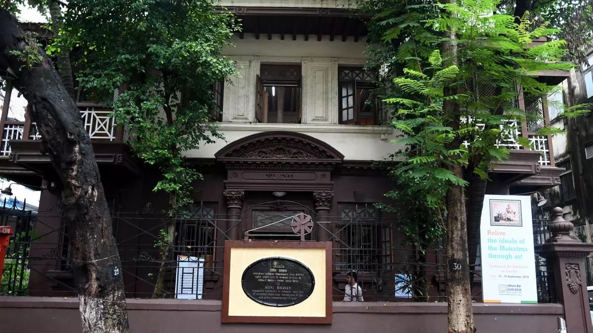 Image 4