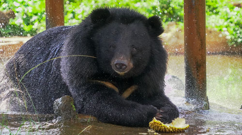 海南熱帶野生動植物園