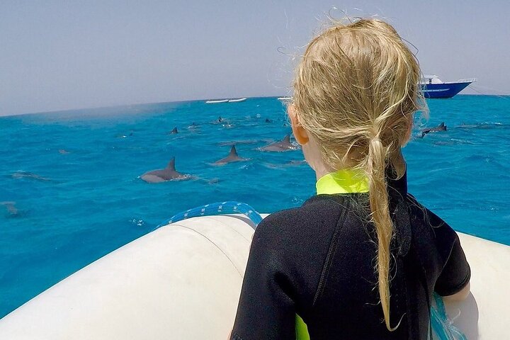 Sataya Dolphin House Boat tour with lunch 