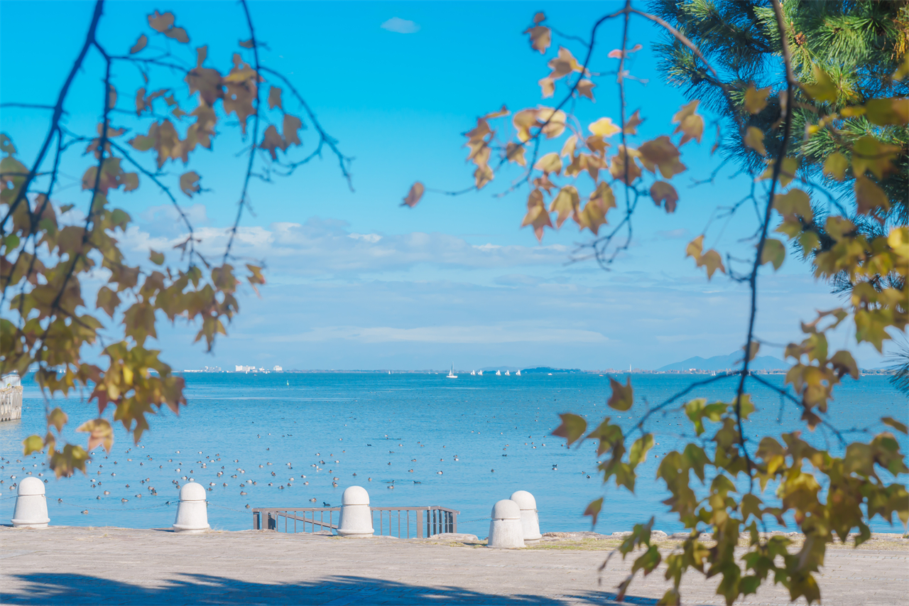 Lake Biwa Observatory, Shirahige Shrine, and Mangetsu-ji Temple Floating Temple Day Trip