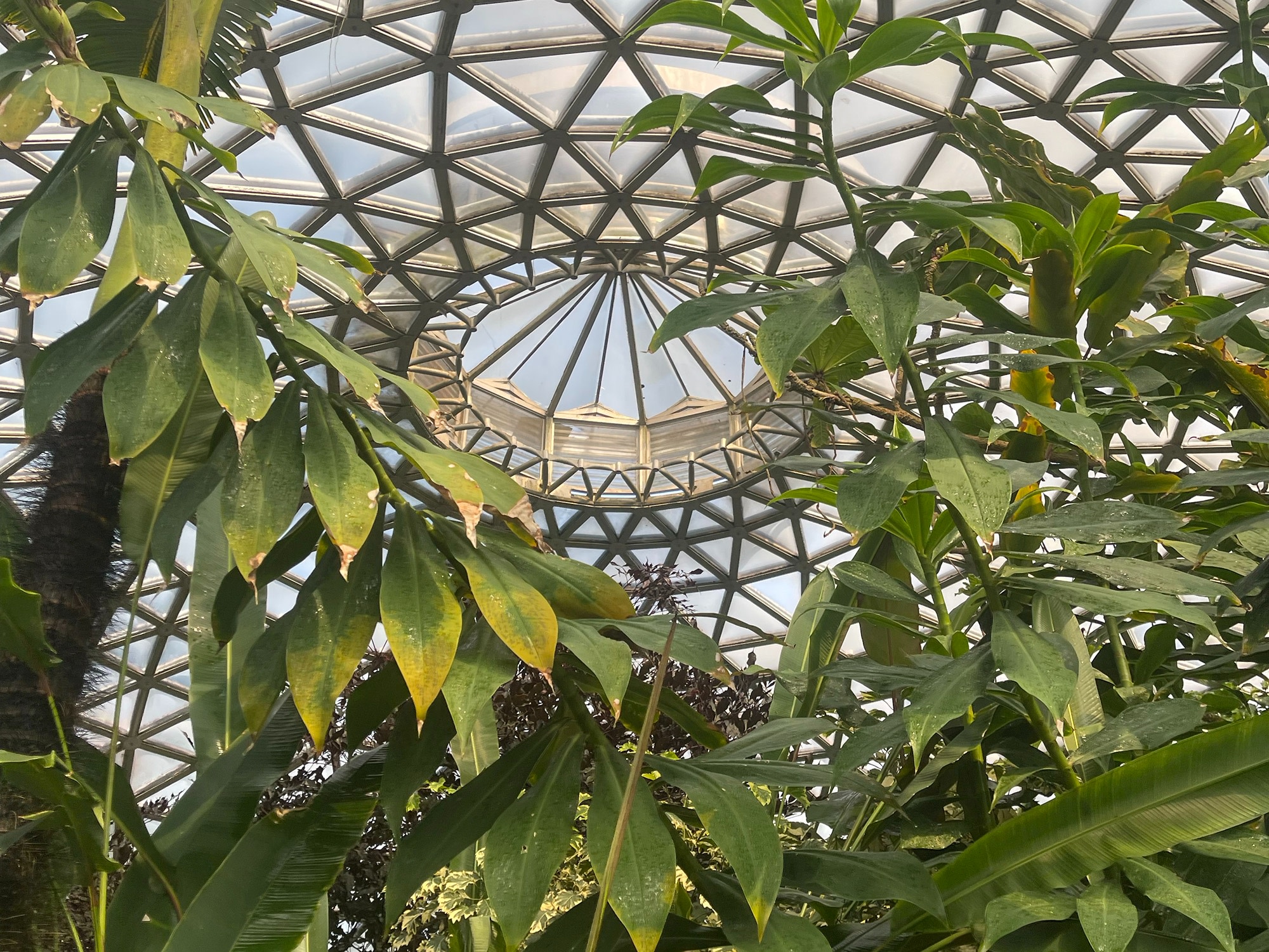 Brisbane Insights Tour