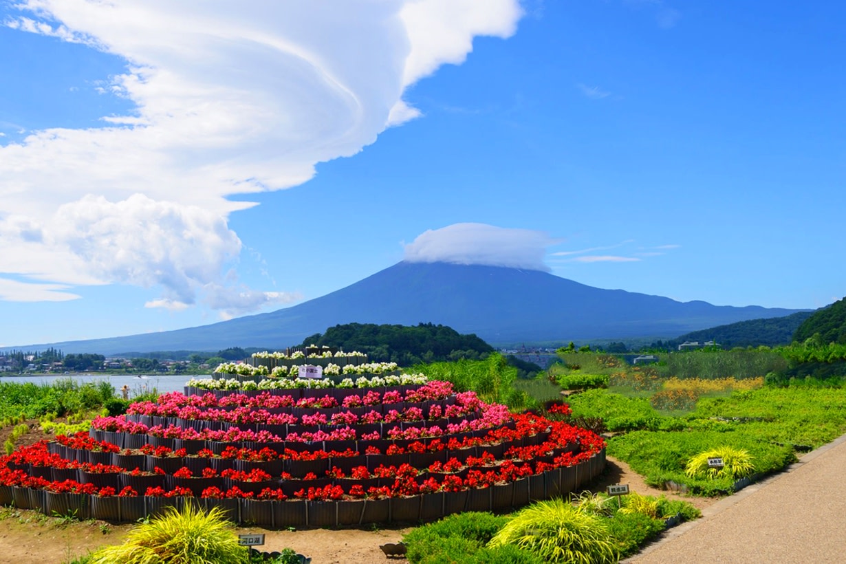 在大石公園能一次飽覽河口湖與富士山美景 在大石公園能一次飽覽河口湖與富士山美景