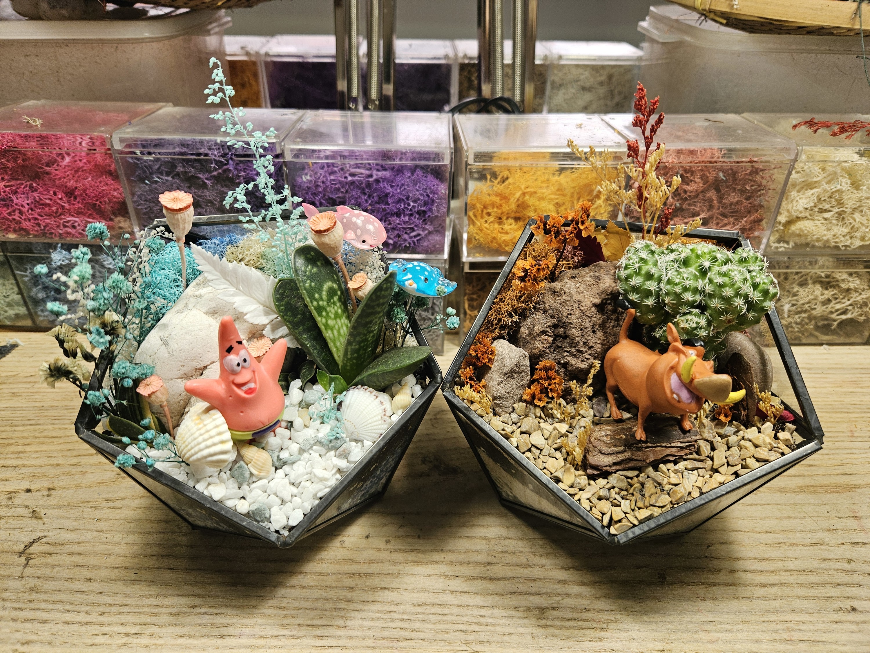 Open Terrarium and Moss Art Workshop in Singapore by SPPFY STUDIO