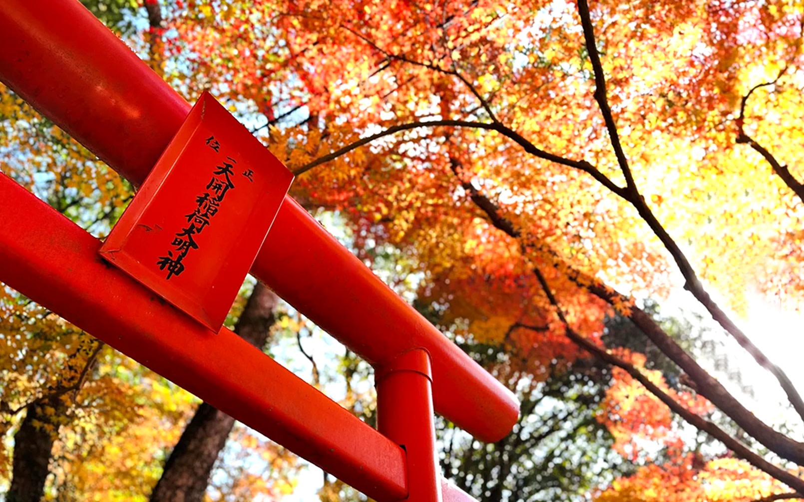 Kyushu Yanagawa & Itoshima | Couple Stones & Ichiran Ramen & Yanagawa River Cruise & Shiraito Falls/Raizan Sennyoji Temple & Dazaifu Tenmangu Shrine Day Trip | (From Fukuoka)