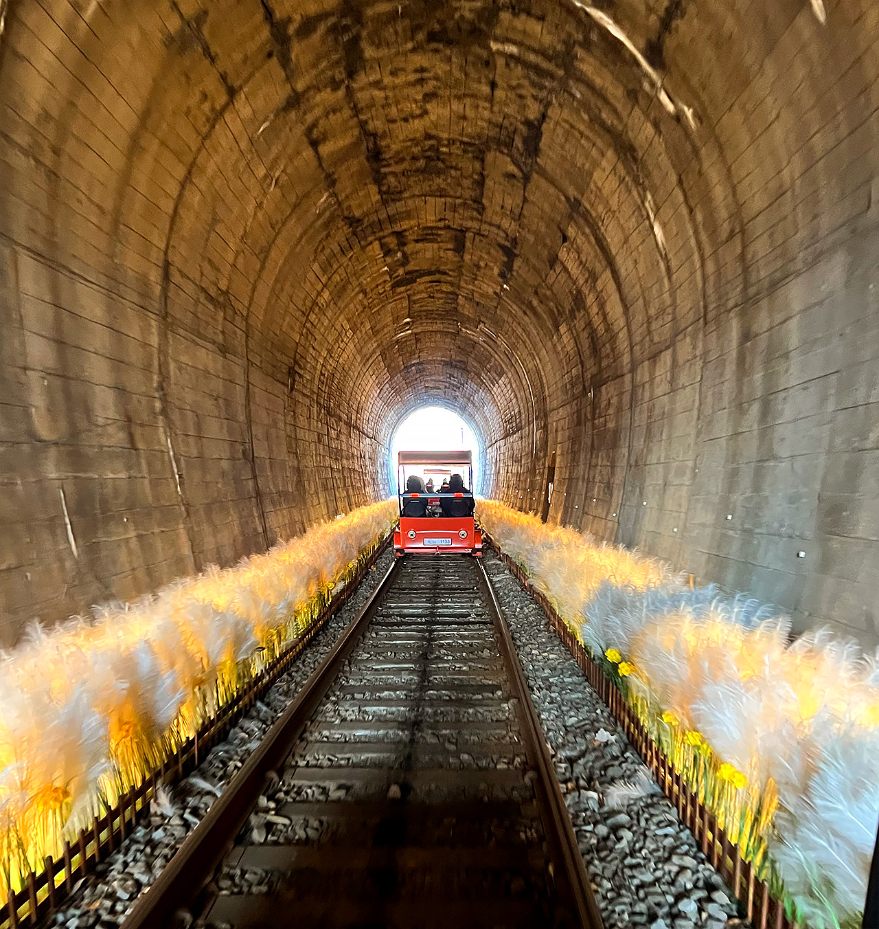 這就像一場迷你冒險，您可以沿著舊鐵軌騎行，同時享受新鮮空氣和迷人景色 😎
